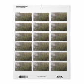 Spider Cobweb Adressaufkleber (Vorne)