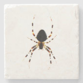 Spider Coera Steinuntersetzer (Vorderseite)