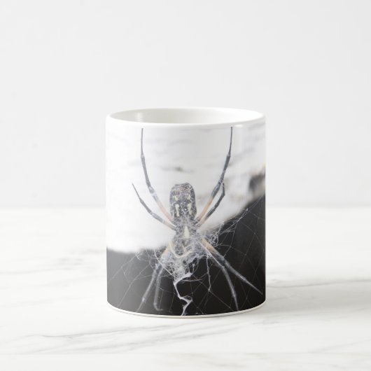 Spider Coffee Tasse (Mittel)