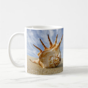 Spider Conch Muschel auf Sandy Beach Tasse