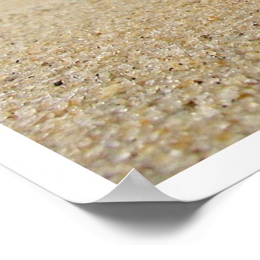 Spider Conch Seashell am Strand Sand Poster (Ecke)