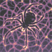 Spider Cosmic Web, Halloween Galaxie der Horror Aufkleber (Vorderseite)