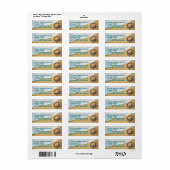 Spider Crab Beach Life Rücksendeadresse (Vorne)