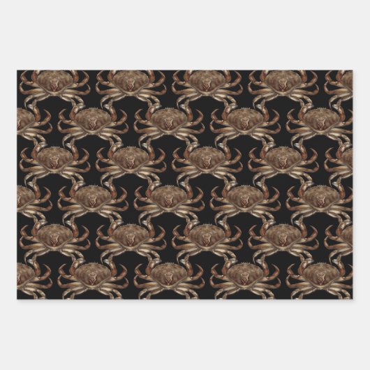 Spider Crabs Fish Gemustert Geschenkpapier Set (Vorderseite 2)