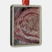 Spider Crater, Western Australien Ornament Aus Metall (Rechts)