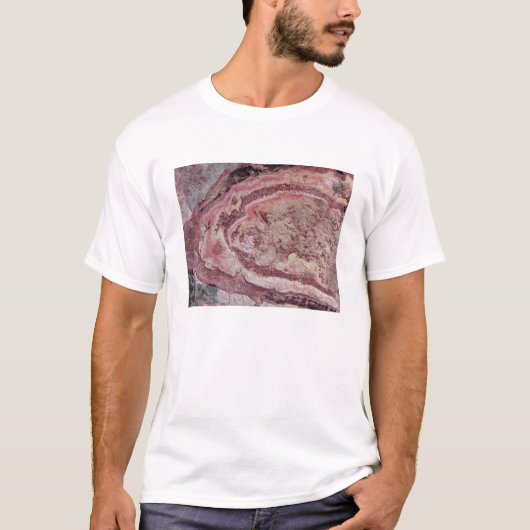 Spider Crater, Western Australien T-Shirt (Vorderseite)