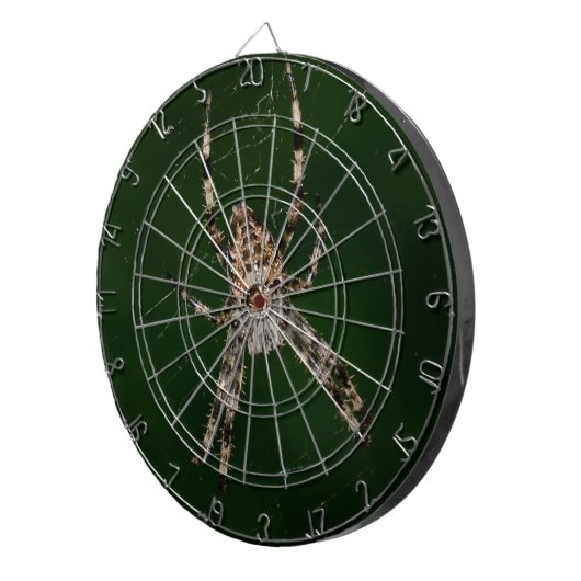 Spider Dartscheibe (Vorderseite rechts)