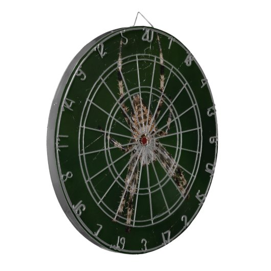 Spider Dartscheibe (Vorderseite Links)