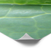 Spider, die die nächste Generation von Printmedien Poster (Ecke)