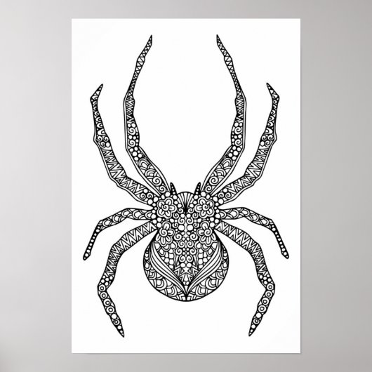 Spider Doodle 2 Poster (Vorne)