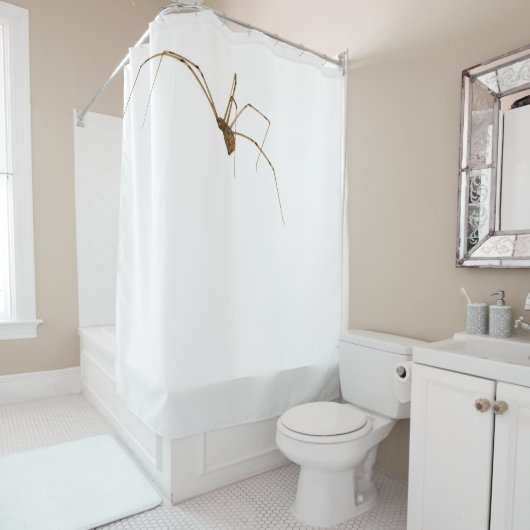 Spider Duschvorhang (Beispiel)