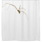 Spider Duschvorhang (Vorderseite)
