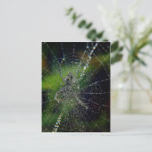 Spider Early Morning Dew Postkarte (Stehend Vorderseite)