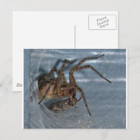 Spider Eating Postkarte (Vorne/Hinten)