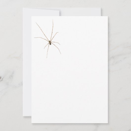 Spider Einladung (Vorderseite)