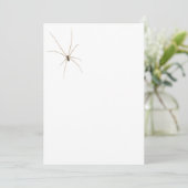 Spider Einladung (Stehend Vorderseite)