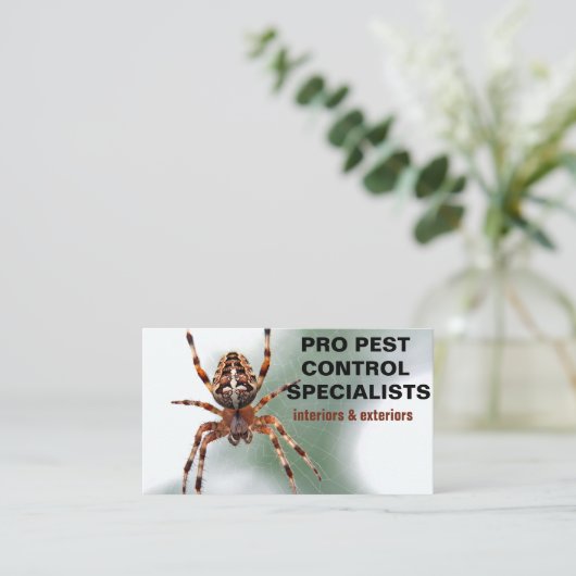 Spider Foto Pest Kontrolle Visitenkarte (Stehend Vorderseite)