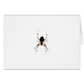 Spider Gccna (Vorderseite (Horizontal))