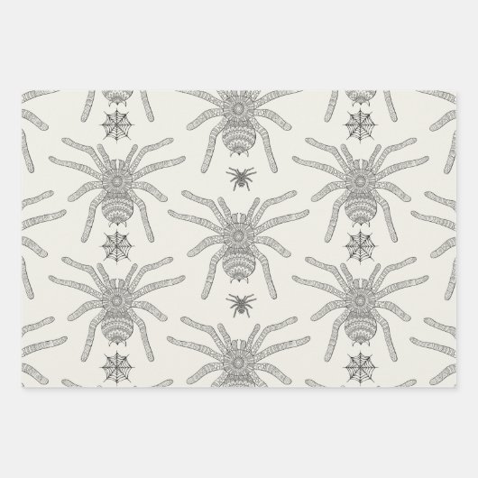Spider Geschenkpapier Set (Vorderseite)