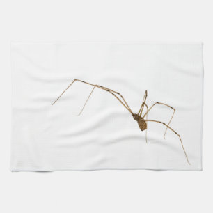 Spider Geschirrtuch