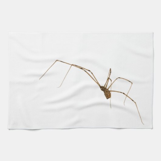 Spider Geschirrtuch (Horizontal)