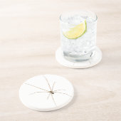 Spider Getränkeuntersetzer (Seite)