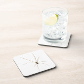 Spider Getränkeuntersetzer (Rechte Seite)