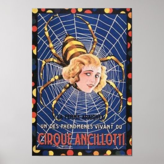 Spider Girl Poster (Vorne)
