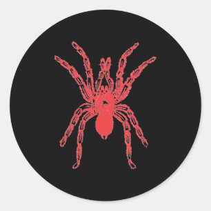 Spider Graphic Design Classic Round-Aufkleber Runder Aufkleber