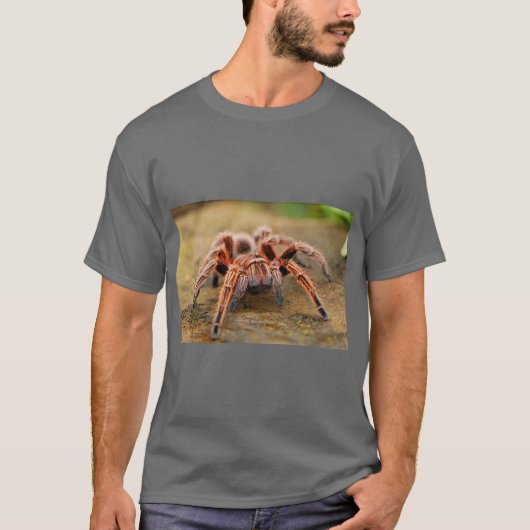 Spider Graphic Nature T-Shirt (Vorderseite)
