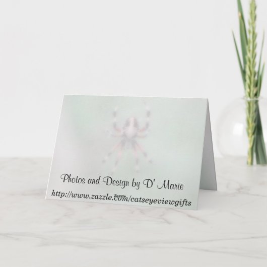 Spider Grußkarte Karte (Rückseite)