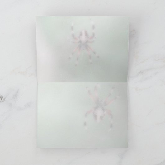 Spider Grußkarte Karte (Innenseite)