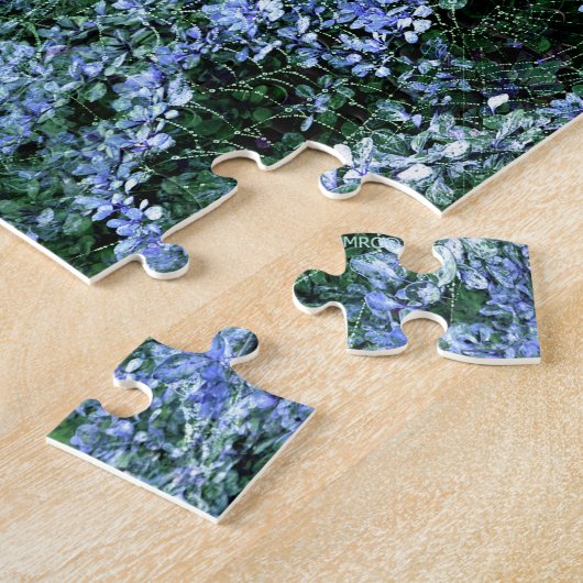 Spider Haven.. Puzzle (Seite)