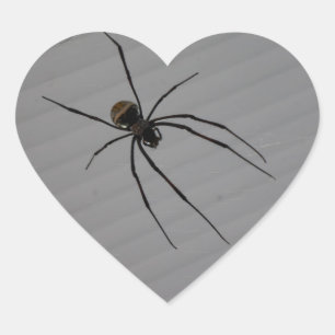 Spider Heart Sticker