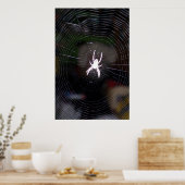 Spider in Web 2 Poster (Küche)