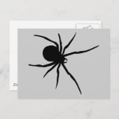 Spider Insekten Spiders Arachnida Schwarzes Kunstt Postkarte (Vorne/Hinten)