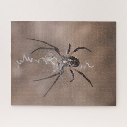 Spider Jigsaw Puzzle (Horizontal)