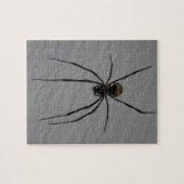 Spider Jigsaw Puzzle (Horizontal)