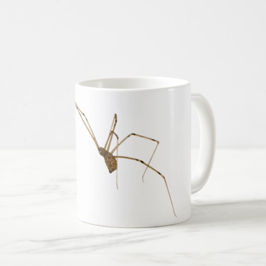 Spider Kaffeetasse (VorderseiteRechts)