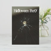 Spider Karte (Stehend Vorderseite)