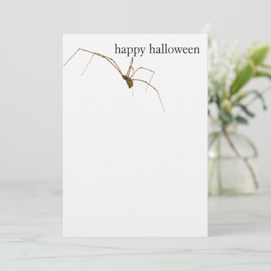 Spider Karte (Stehend Vorderseite)