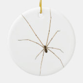 Spider Keramik Ornament (Hinten)