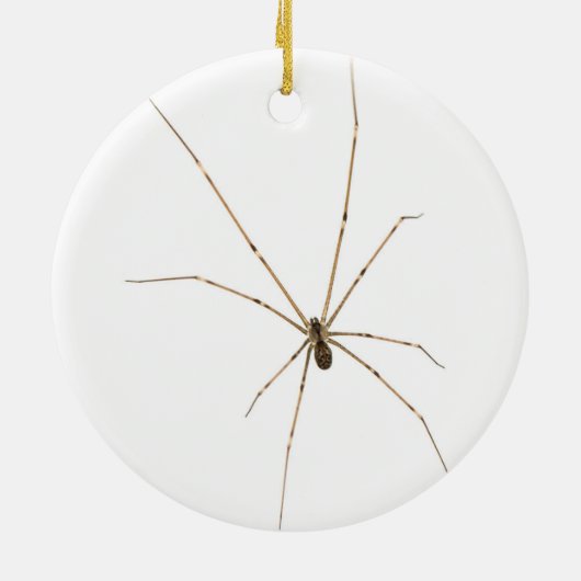 Spider Keramik Ornament (Hinten)
