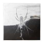 Spider Keramik Tile Fliese (Vorderseite)