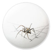 Spider Keramikknauf (Vorderseite)