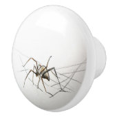Spider Keramikknauf (Rechts)