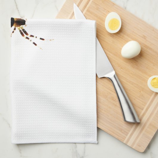 Spider ktcna geschirrtuch (Viertel Falte)