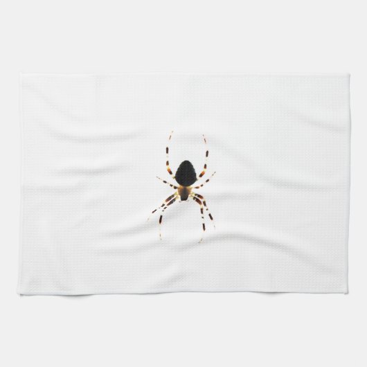 Spider ktcnm geschirrtuch (Horizontal)