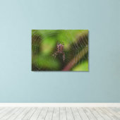 Spider Leinwanddruck (Insitu (Holzboden))