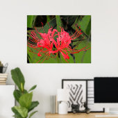 Spider Lily 2 Poster (Heimbüro)